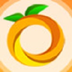 橘子财税服务平台下载 v1.17.704.0 官方版