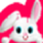 小飞兔整站下载软件下载 v1.0 免费版