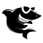 黑鲨装机大师下载 v11.5.47.1530 官方版最新版