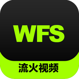流火WFS监控录像视频恢复