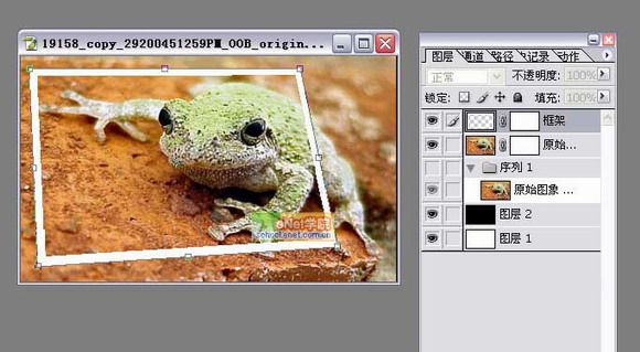 photoshop打造陷入照片的青蛙