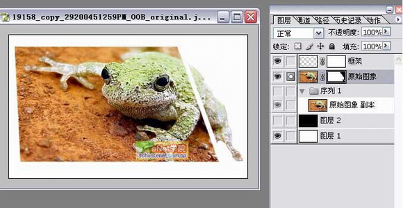 photoshop打造陷入照片的青蛙