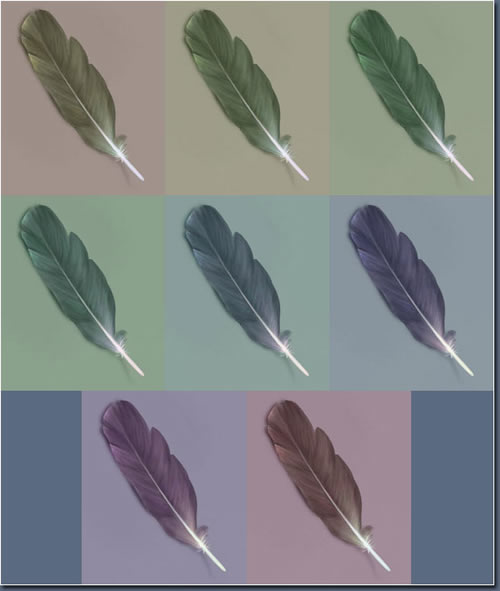 photoshop笔刷工具绘制写意灰色羽毛图5