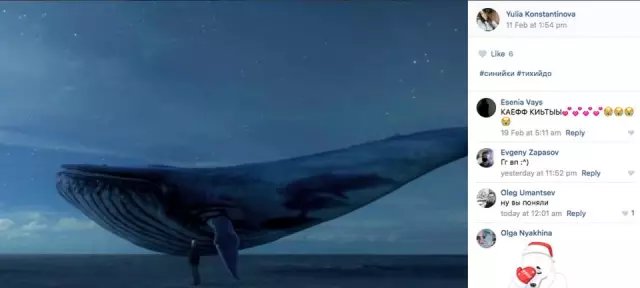 蓝鲸死亡游戏是什么，蓝鲸死亡游戏是怎么回事图3