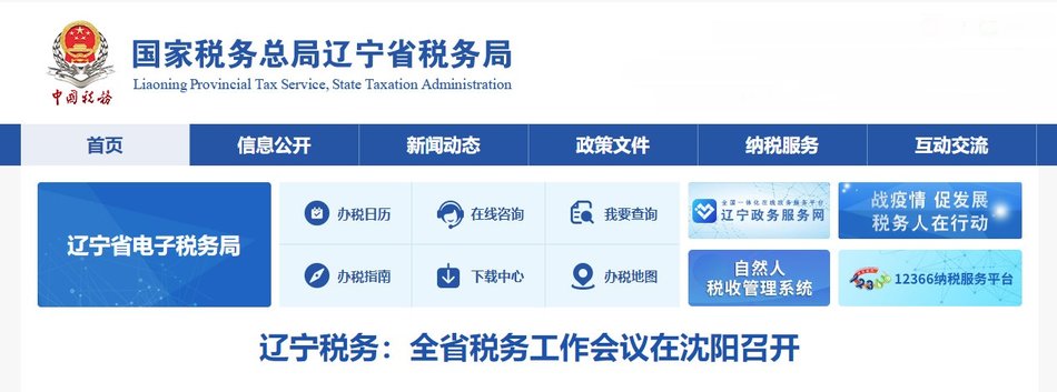 辽宁省电子税务局网上申诉体例图2