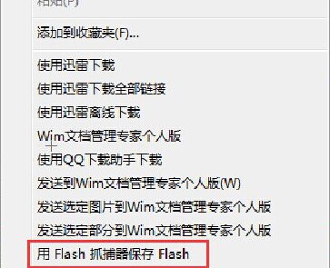 flash catcher v7.0(图3)