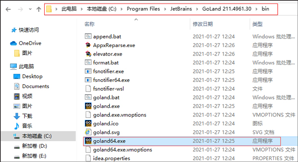 JetBrains GoLand v2021.1中文破解版(图6)